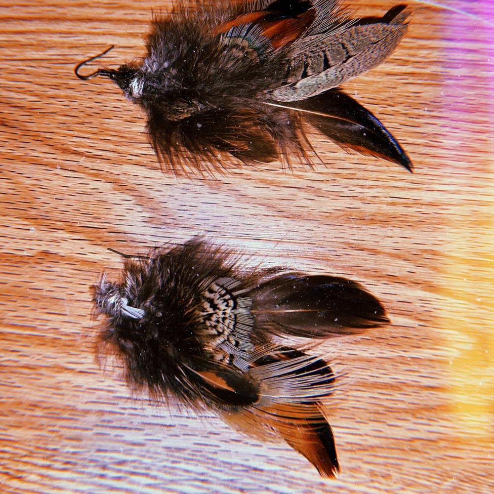 Feather earrings (Idaho bird)